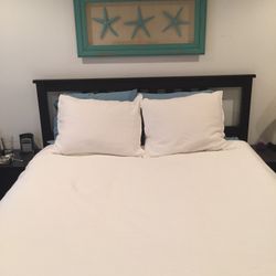 Beachy Starfish Sign