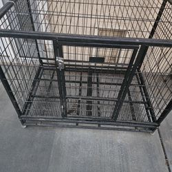Dog Cage Jaula 