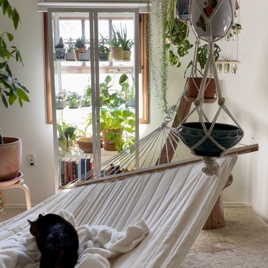 FREE!!!! Hammock Wood Cream Rope Great Condition Boho Hippie Like New Moving Estate Sale