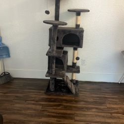 Cat tree 