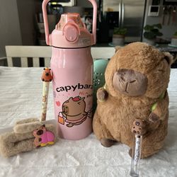 Hello Kitty/Sanrio/Labubu/Capybara/Etc🫧🩷