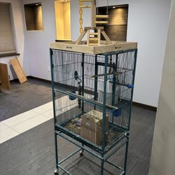 Bird Cage