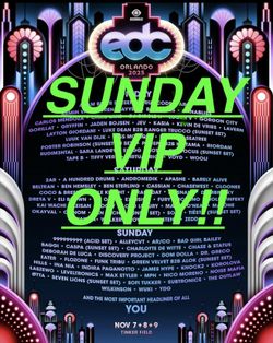EDC Orlando 2025 (**SUNDAY VIP ONLY**) -$350