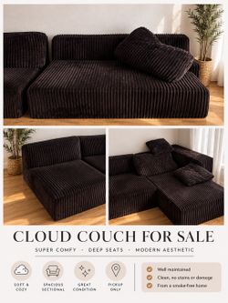 Viral sectional TikTok Cloud couch