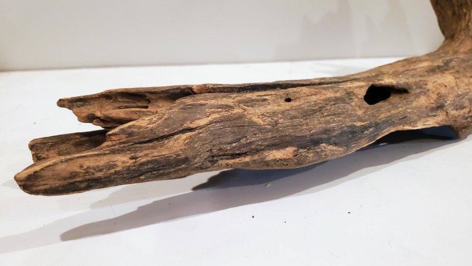 Beautiful Large Piece of Natural Driftwood for Aquariums and Terrariums
