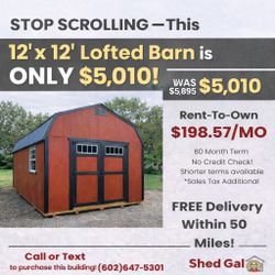 ❤️ We Built Shed Gal for THIS — A Better Shed Buying Experience - 12' x 12' Lofted Barn!