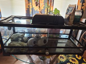 Reptile set up