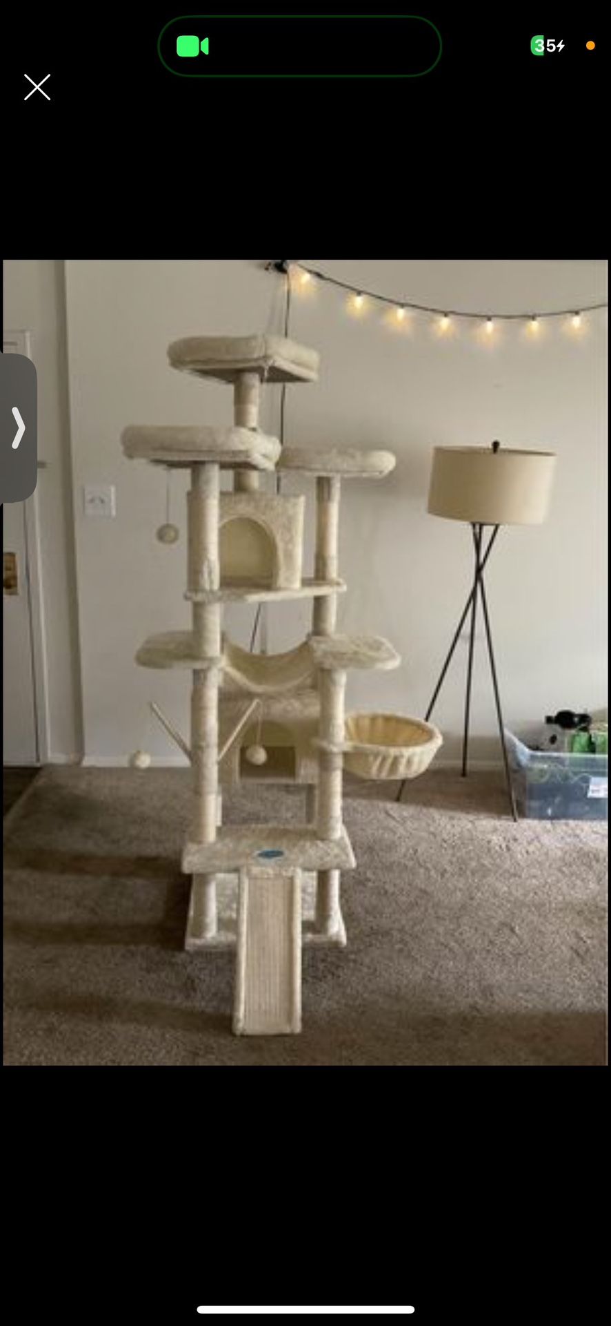 cat play stand