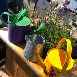 3 garden watering pots $11 each