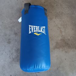 Punching Bag