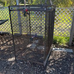 Bird Cage 