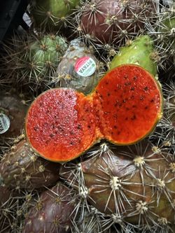 Pitaya Grande de Colores lb