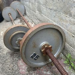 Weights Barbell And Curl Bar 