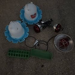 Chicken Supplies