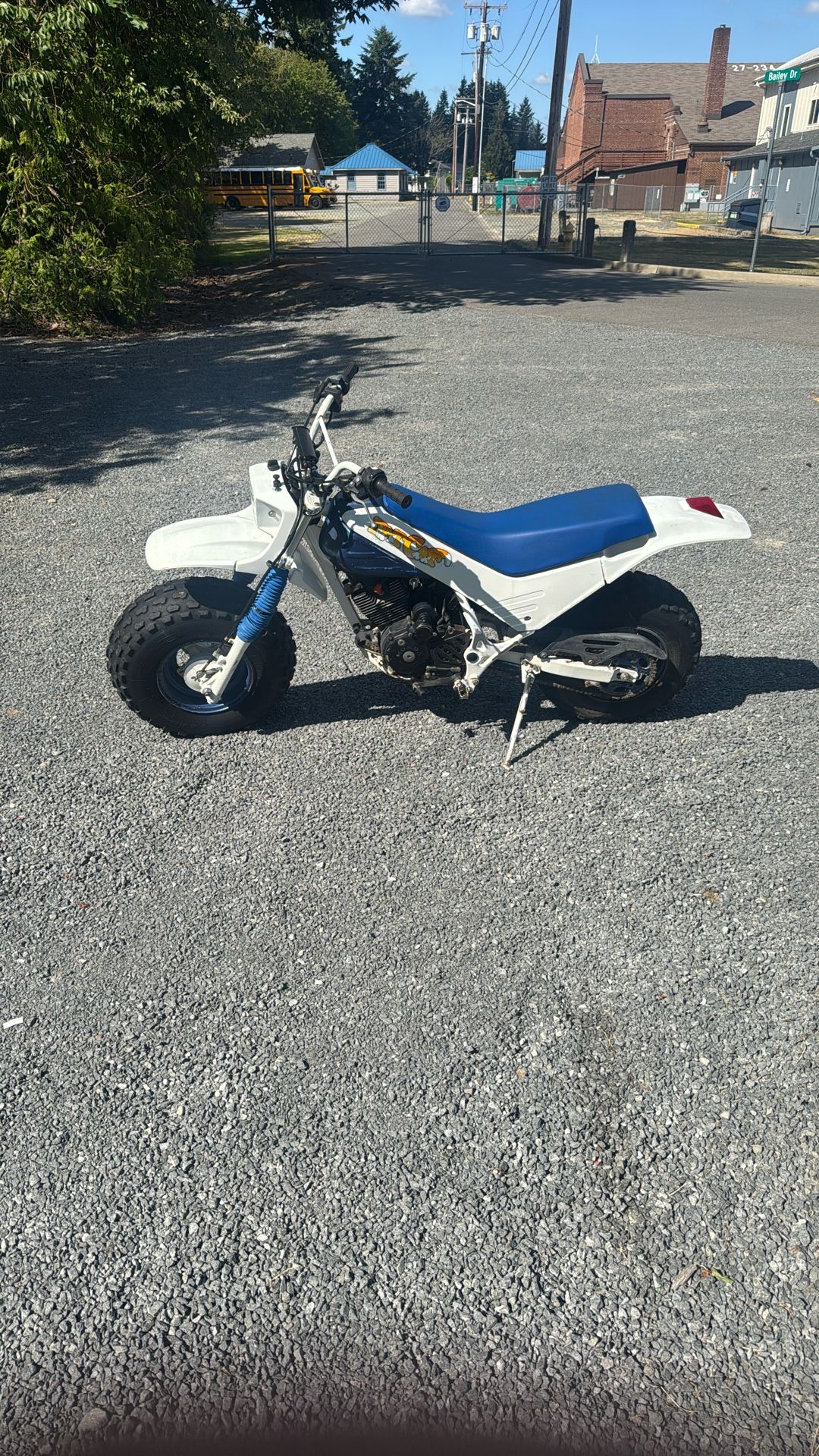 Honda fat cat