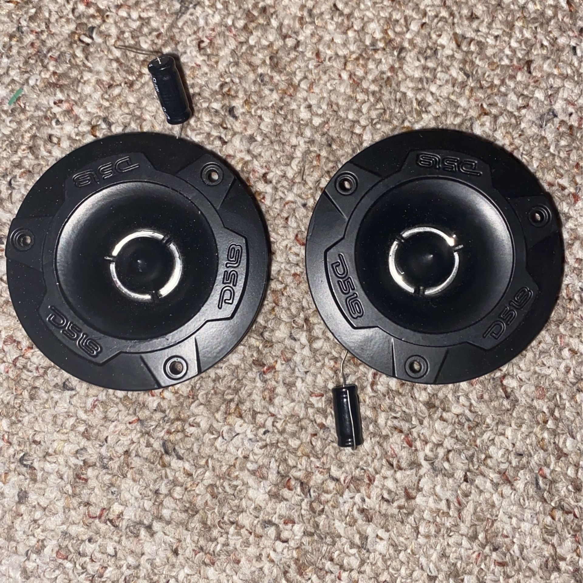 Ds18 Speakers