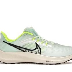 Nike Air Zoom Pegasus 39