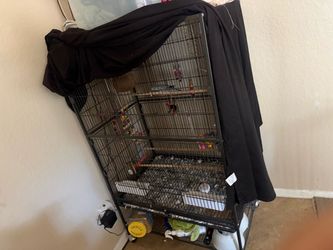 large rolling cage