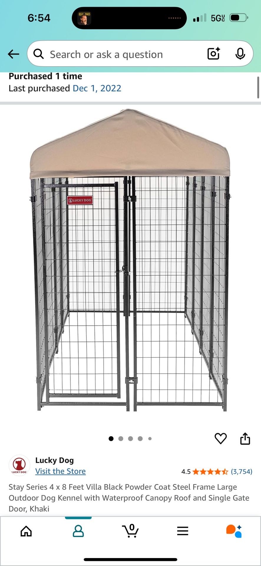 Dog Kennel Run