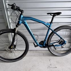 BMW SPECIAL EDITION CARBON MTN BIKE LARGE