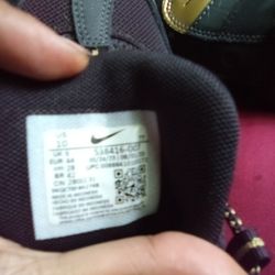 Men's Nike Air Max Shoe