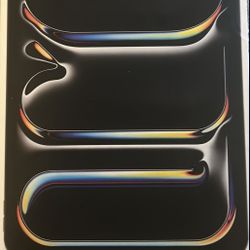 iPad Pro M4 11 Inch 256 GB