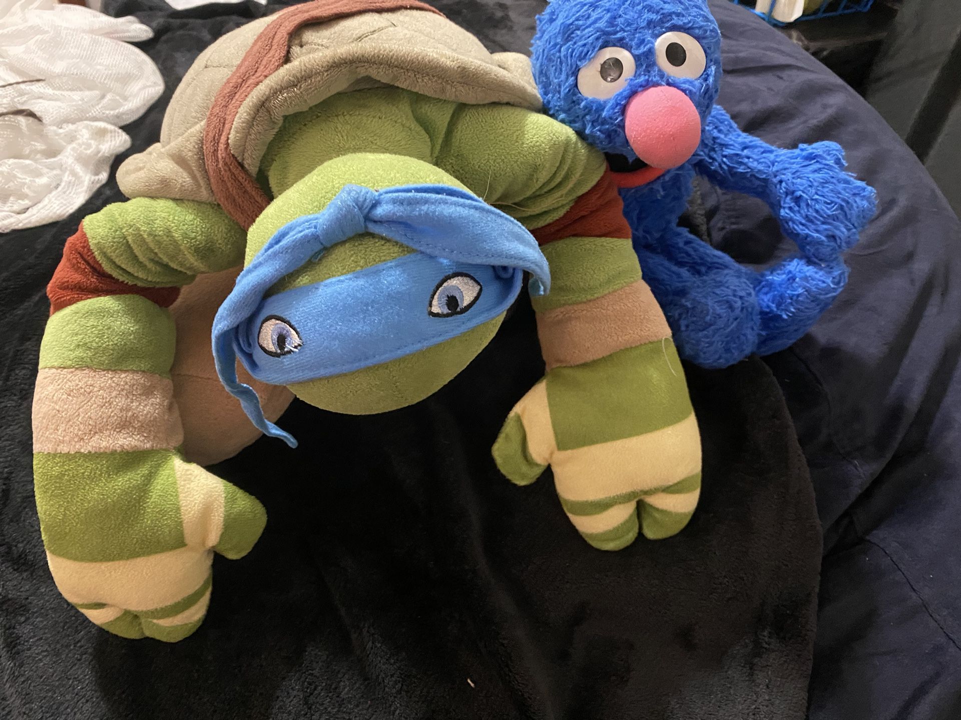 Ninja Turtle And Grover