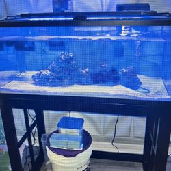40 Gallon Tank 