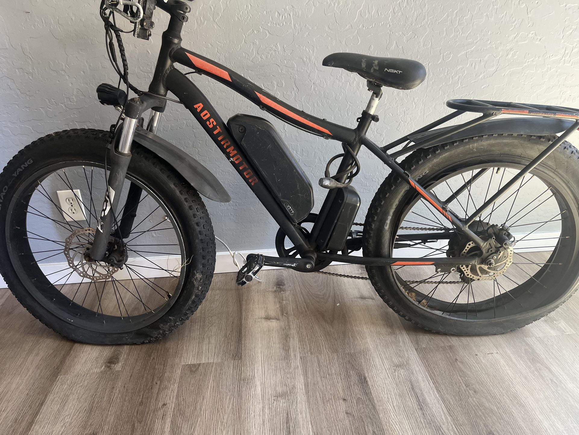 Aostirmotor Electric Bicycle