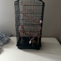 Medium Bird cage 