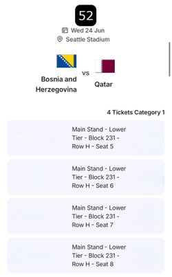 FIFA World Cup Bosnia vs Qatar