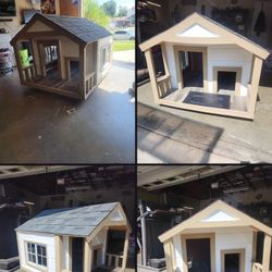 Dog House