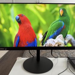 Lenovo ThinkVision P24q-20 23.8" IPS LED Monitor - Raven Black