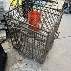 Bird Cage