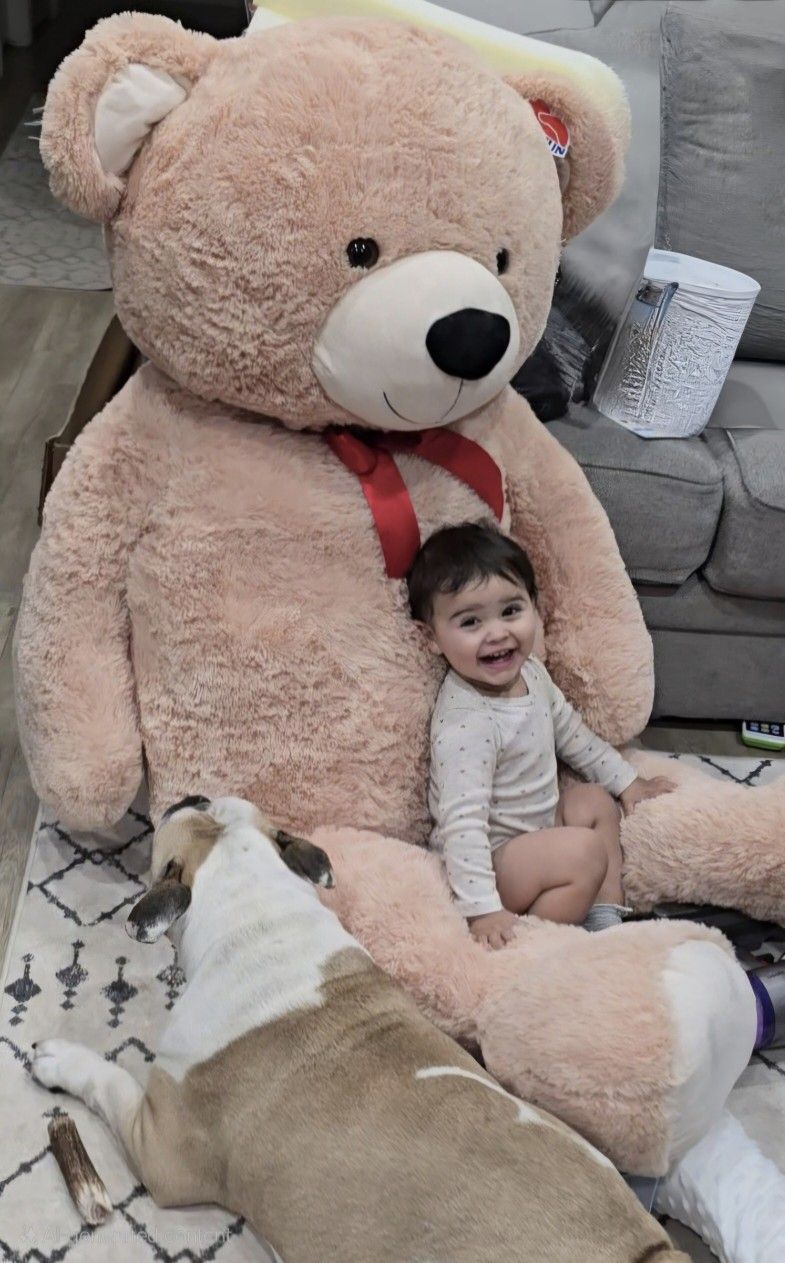 Giant Teddy Bear