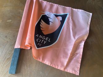 Angel City FC DoorDash Flag - stadium approved!