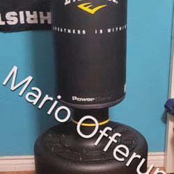 Everlast Workout Punching Bag