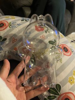 Clear Labubu Case