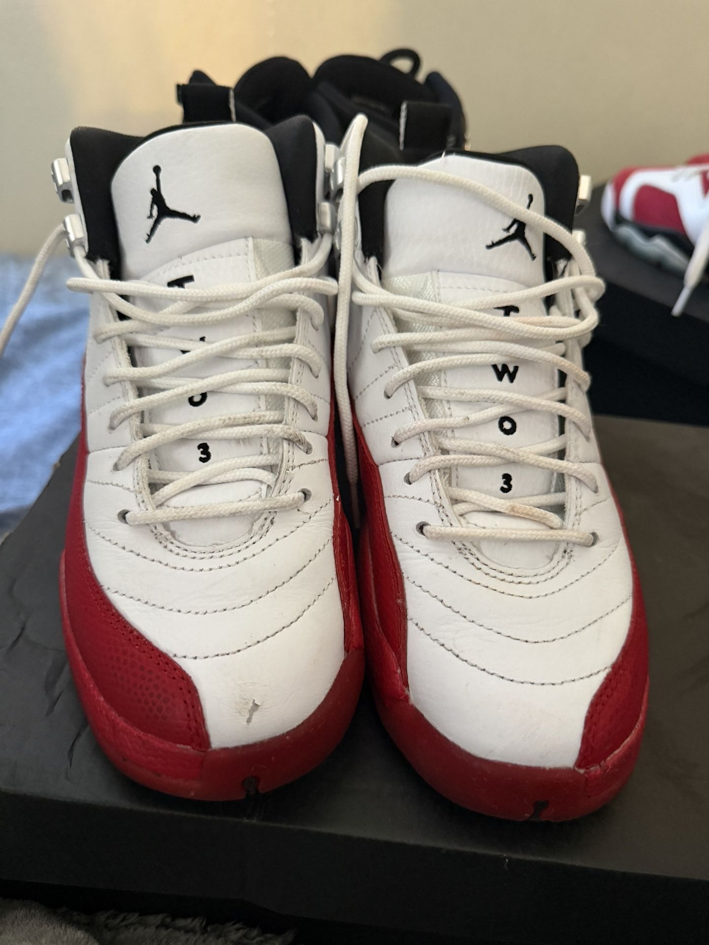Air Jordan 12 “Cherry”