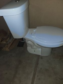 Glacier bay toilet