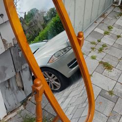 Healthy Pineapple Pleasure Mango Tree Sappling