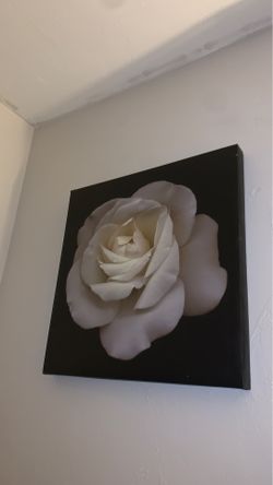 Canvas picture