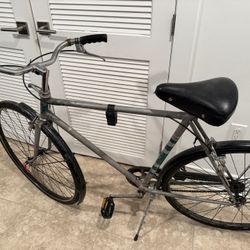 Men’s Italian Bike