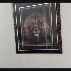 photos