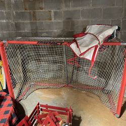 Professional Hockey net