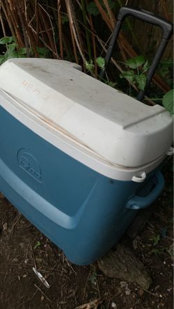 Igloo cooler