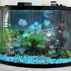 Aquarium 36 Gallons
