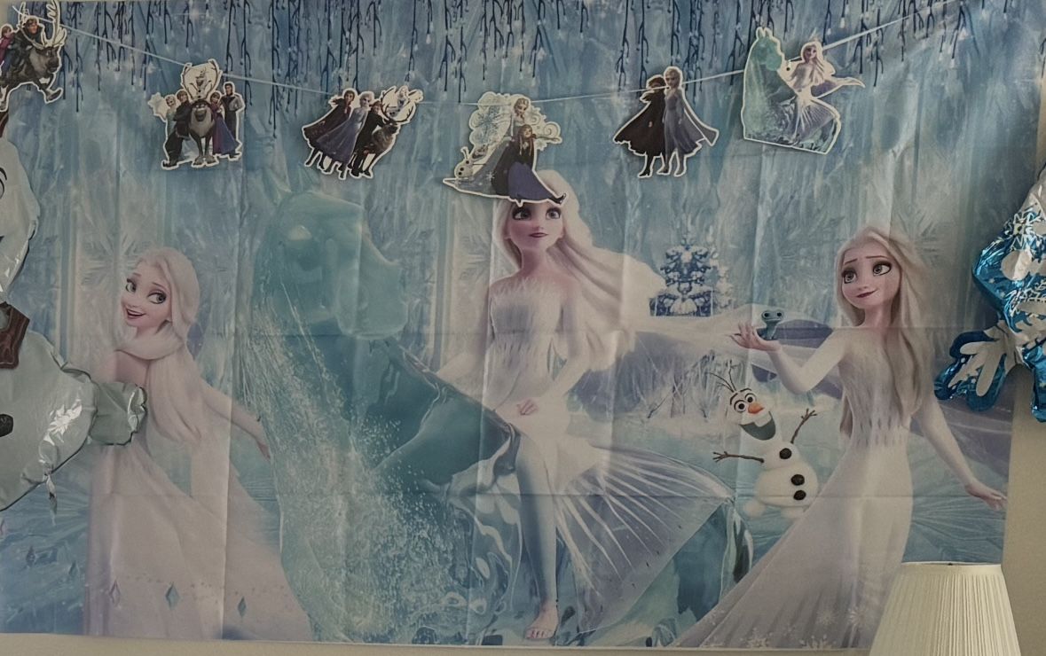 Frozen Bday Decor