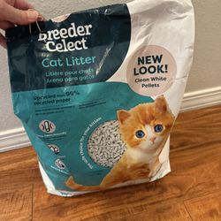 Cat Litter Box With Paper Cat Litter 