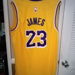 Lebron james shop lakers jersey stitched